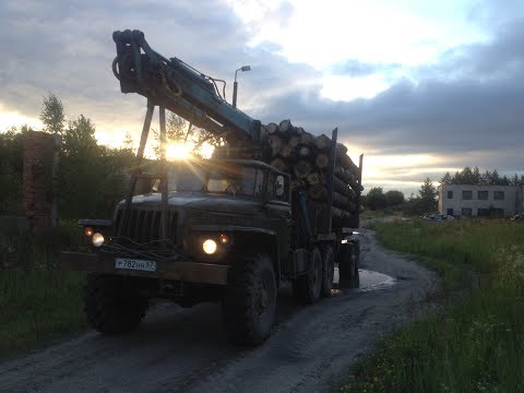 Видео: Еду на лесовозе в тимирязевское лесничество