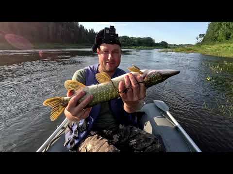 Видео: Западная Двина.Daugava.