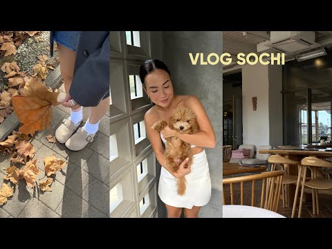 Видео: VLOG: жизнь в Сочи, женские встречи, шоппинг✨🤍