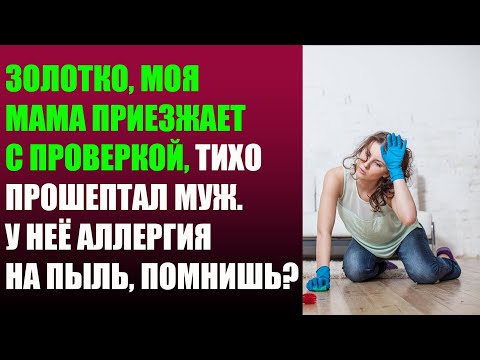 Видео: Золотко, моя мама приезжает с проверкой, тихо прошептал муж  У неё аллергия на пыль, помнишь?