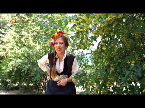 Видео: Дияна Василева – Китка Ружа