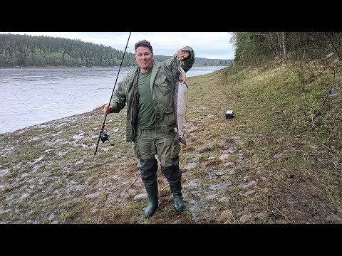 Видео: Сплав Пана - Варзуга 2022