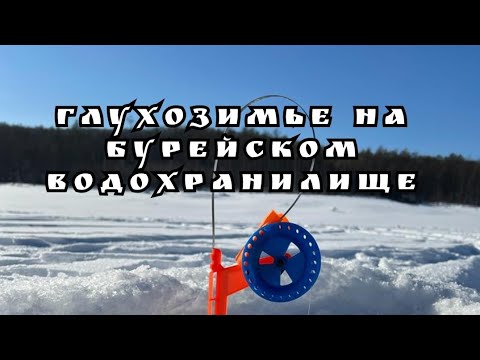 Видео: В поисках февральской щуки. Трудовая рыбалка на жерлицы в глухозимье. Бурейское водохранилище 2023.