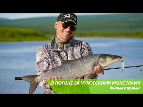 Видео: В погоне за чукотскими монстрами. Фильм первый