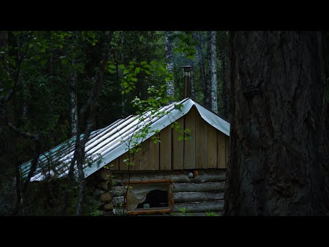 Видео: Живу в избушке. Находки в тайге. Рыбалка на хариуса. Поход на таёжное озеро.