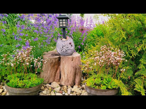 Видео: Самые неприхотливые растения для кашпо🌸🌿 Горшечный садик выращиваю с удовольствием #garden #цветы