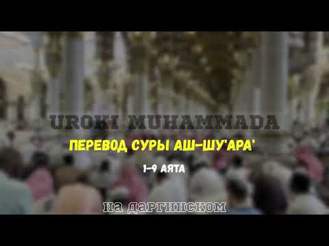 Видео: Перевод Суры Аш-Шу'ара' 1-9 аята на даргинском