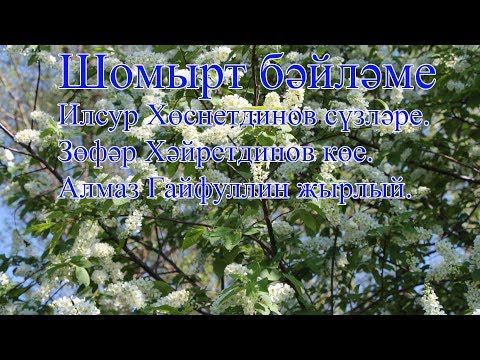 Видео: Шомырт бәйләме.