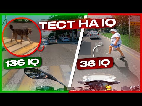 Видео: МотоБудни #36: ТЕСТ НА IQ