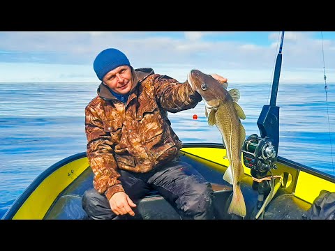 Видео: Морская рыбалка, Баренцево море. Май-2022/Sea fishing, Barents Sea. May-2022