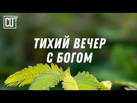 Видео: Перед сном: Слово Божье, которое снимает тревогу и страх #Библия #Relaxing #исцеление_души