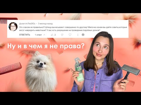 Видео: Шпиц - уход, содержание, груминг. Вычесывание