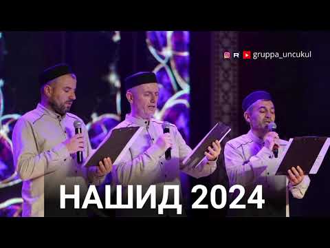 Видео: Новый Мавлид | Группа Унцукуль | 2024 #группаунцукуль
