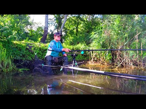 Видео: ТІЛЬКИ ЗАКИНУВ І ОДРАЗУ ТЯГНИ!!! РИБОЛОВЛЯ на КАРАСЯ. Рибалка на поплавок на карася.