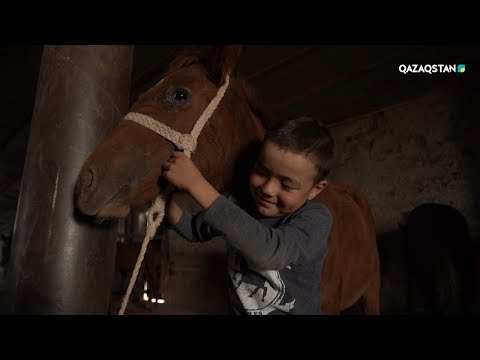 Видео: «Ғажайып өлке». Қарағанды облысы
