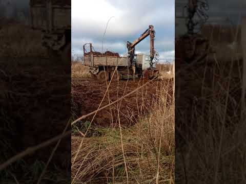Видео: Погрузка навоза, ЗИЛ 131 с гидроманипулятором.