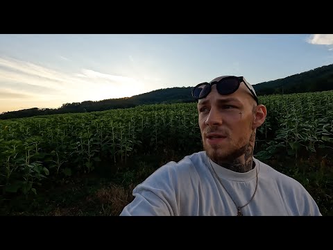 Видео: САМОТА/ДЕПРЕСИЯ/РАЗДЯЛА/ПОМОЩ? - MONK MODE | ХЪСTLE VLOG 14