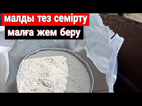 Видео: Малға жем беру | откорм | малды тез семірту әдісі