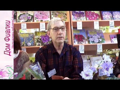 Видео: ДФ. Н.Дорофеев.Из личного опыта (стрептокарпусы)