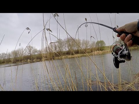 Видео: 3 ГЛАВНЫЕ ОШИБКИ СПИННИНГИСТА