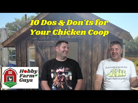 Видео: 10 правил поведения в курятнике [классика HFG]