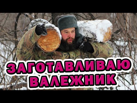 Видео: Пилю валежник в лесу. Заготовка дров на зиму. Берёзовые чурки будем колоть зимой. Жизнь в деревушке.