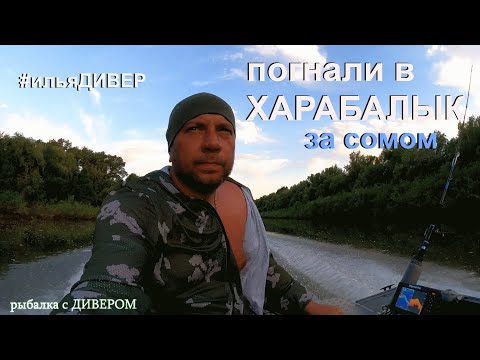 Видео: Харабалык (второй день) - СОМЫ в мошку на маленькой речке, июньский выезд 2021 троллинг