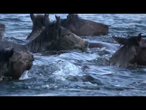 Видео: Обряд "Хартыгайлаар"