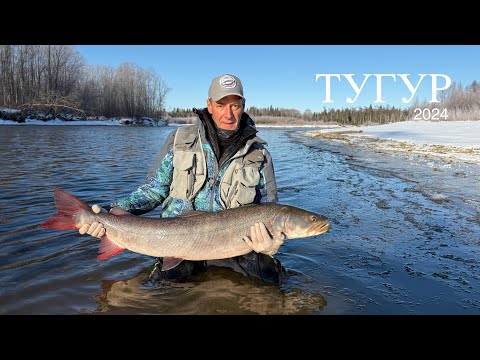 Видео: Трофейные Таймени Тугура! Ноябрь 2024