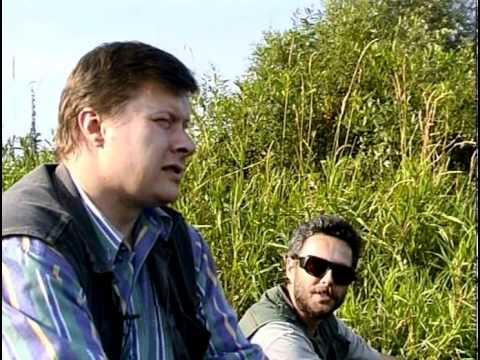 Видео: Диалоги о рыбалке - Карп, карась