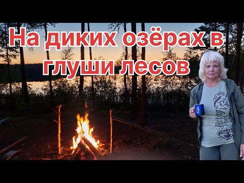 Видео: ПУТЕШЕСТВИЕ на озера БОЛЬШОЙ, МАЛЫЙ и СРЕДНИЙ КУЛЬТЕИ. Рыбалка и походы по лесным дорогам.