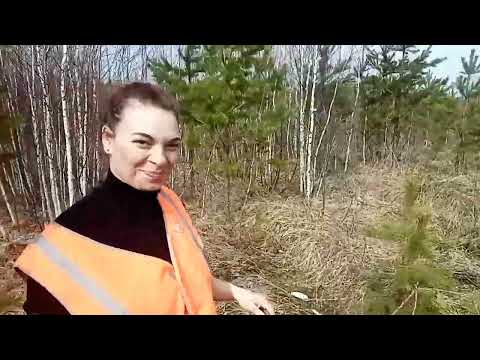 Видео: Отличное открытие сезона 2022.Поиск лосиных рогов....