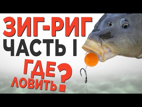 Видео: Ловля карпа на ЗИГ-РИГ, часть 1. Где ловить?