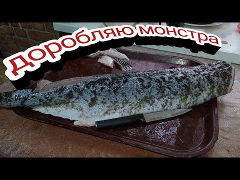 Видео: Страви з монстра щуки