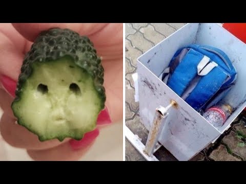 Видео: Фото подписчиков Фактории (203 часть)