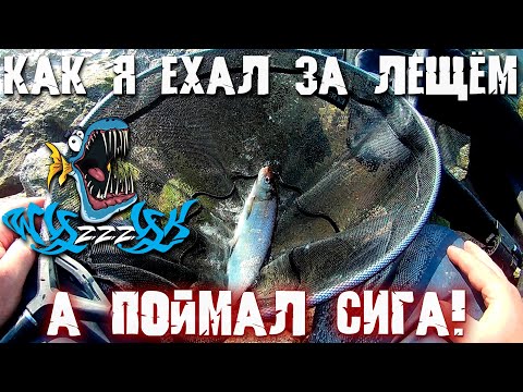 Видео: Как я ехал за лещём, а поймал сига! Анонс розыгрыша!