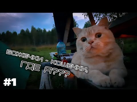 Видео: АВТОПУТЕШЕСТВИЕ НА БАЙКАЛ. #1 Фальстарт, водопад Пещёрка