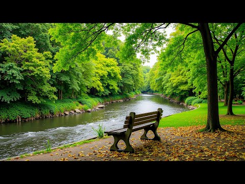 Видео: Красивая расслабляющая музыка🌿 Перестаньте слишком много думать, музыка для снятия стресса, музыка