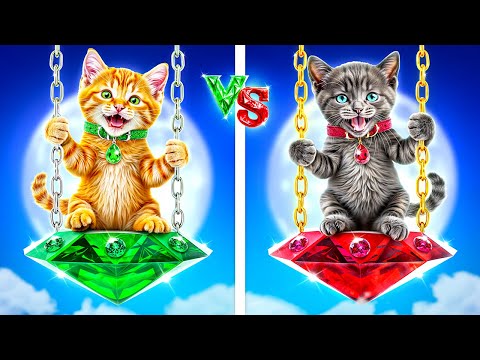 Видео: Мы построили секретную комнату для животных! Изумруд vs Рубин!