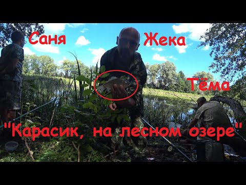 Видео: "Карась на озере в лесу"; озеро "Перебой" Поплавок.