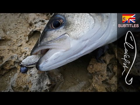 Видео: РАМА для смертоносного морского окуня в бурном море!