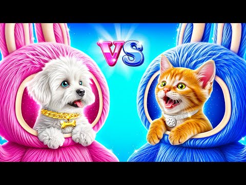 Видео: Кошка vs Собака! Как заботиться о питомцах!