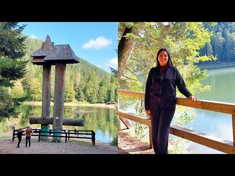 Видео: Прогулка по лесу к озеру Синевир. Колыба из традиционной кухней. Зоопарк. 