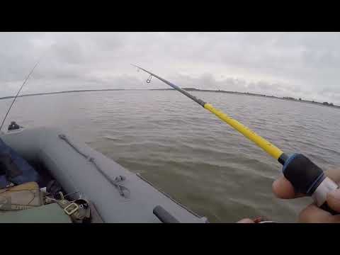 Видео: Попал на жор окуня. Как всегда тейл-спинер.