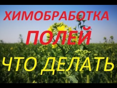 Видео: Как закрыть пчел на время химобработки полей.