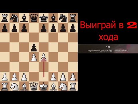 Видео: Отвечаю за слова, не Дебют, а Мечта Гамбит Блэкмара-Димера