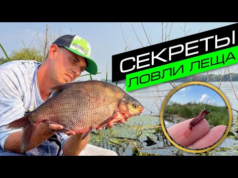 Видео: СЕКРЕТЫ ЛОВЛИ ЛЕЩА / ЛОВЛЯ ЛЕЩА НА ФИДЕР / FROS FISHING