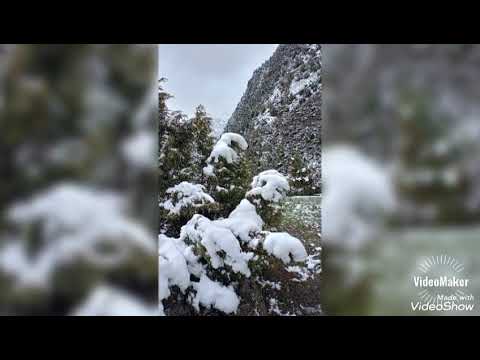 Видео: ????!!!!Боду ҳавои табиатӣ деҳаамон дар санаи 20-04-2025 сол..Фурузончон Ниязов