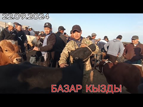 Видео: 22-СЕНТЯБРЬ/2024/ШЫМБАЙ МАЛ БАЗАРЫ/БУГИН БАЗАР КЫЗДЫ/ДЕМ БЕРМЕС МАЛ БАЗАР