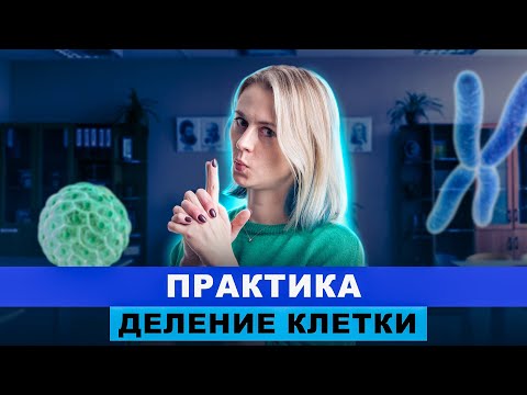 Видео: Деление клетки: Практика | ИНТЕНСИВ | Ксения Напольская